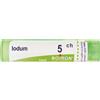 BOIRON Iodum 5Ch Granuli Multidose Boiron
