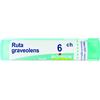 BOIRON Srl Ruta Graveolens 6CH Boiron Granuli 4g