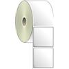 Compatible 10 Rotoli di Etichette adesive in Polipropilene 100x100mm