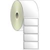 Compatible 10 Rotoli di Etichette adesive in Polipropilene 100x50mm