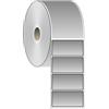 Compatible 12 Rotoli di Etichette adesive metallizzate 100x50mm in PET argentato