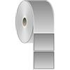 Compatible 10 Rotoli di Etichette adesive metallizzate 100x85mm in PET argentato