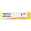 BOIRON Hypericum Perforatum 1 Mk Dose 2020