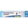 BOIRON Rhododendron Chrysan 9Ch Granuli Multidose Boiron
