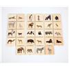 TICK IT Associazioni Mamme-Cuccioli Selvaggi