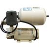 GIANNESCHI & RAMACCIOTTI Autoclave idromini acb 12 v.