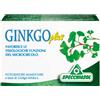 CODEFAR Ginkgo Plus 30 Capsule