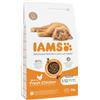 Iams Kitten con pollo fresco per gattino 2 x 3 kg