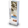 ICF LENIDERM SHAMPOO 250 ML