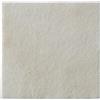 COLOPLAST SpA BIATAIN ALG MEDIC 15X15CM 10PZ