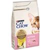 Purina Cat Chow Kitten ricco di Pollo - 1,5 kg - Croccantini per gatti - 1° ORDINE? scegli lo sconto BZR5 / BZR20 + 200 punti fedeltà