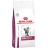 Royal Canin Veterinary Diet Royal Canin Feline Renal Select - 2 kg Dieta Veterinaria per Gatti