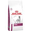 Royal Canin Veterinary Diet Royal Canin Renal - 2 kg Dieta Veterinaria per Cani