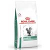 Royal Canin Veterinary Diet Diabetic Cat - 1,5 kg - Dieta Veterinaria per Gatti - 1° ORDINE? scegli lo sconto BZR5 / BZR20 + 200 punti fedeltà