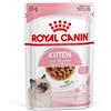 Royal Canin Kitten Gravy Cat Wet Food - 85 gr Cibo umido per gatti