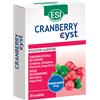 ESI Srl Cranberry Cyst 30 Ovalette