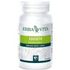 ERBA VITA GROUP SPA EQUISETO 125TAV