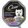 Cesar Ricette di Campagna 150gr - Agnello e Piselli Cibo Umido per Cani