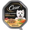 Cesar Ricette di Campagna 150gr - Pollo e Verdure Cibo Umido per Cani