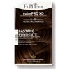 Euphidra Colorpro XD 435 Castano Fondente