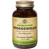 Solgar Fitoboswellia 60 Capsule