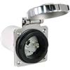 Marinco Spina inox 50 amp.