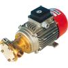 ANCOR Pompa bg80 12 v.