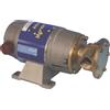 ANCOR Pompa ep60 12v.