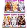 IMC 96752 CUCCIOLI SOLLETICOSI CLUB PETS