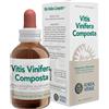 FORZA VITALE ITALIA Srl Vitis Vinifera Composta 50ml Gocce