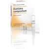 GUNA Heel Damiana Compositum 10 Fiale Da 1,1ml