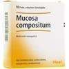 GUNA Heel Mucosa Compositum 10 Fiale Da 2,2ml L'una