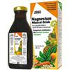 SALUS HAUS GMBH & CO KG Salus Magnesium Mineral Drink Flacone Da 250ml