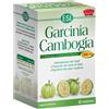 esi garcinia cambogia