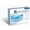 PROGE FARM Enterobacilli Integratore 10 Bustine