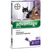 BAYER Advantage Spot On 4 Pipette 0,8ml Antiparassitario Gatti/conigli Grandi