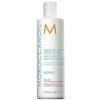 Moroccanoil MOISTURE REPAIR Balsamo riparatore 250 ml