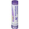 BOIRON Srl Gelsemium Sempervirens 30CH Boiron 80 Granuli 4g