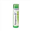 Boiron Pyrogenium - 5Ch Medicinale Omeopatico, 4gr