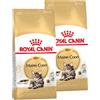 Royal Canin Breed Royal Canin Gatto Maine Coon 31 Adult 2 x 10 kg