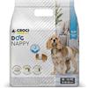 Croci Dog Nappy - Fascia Assorbente per cani maschi, taglia M - Ø 40-50 cm, Mutanda pannolino igienico pipi cane, Antiodore, Usa e getta, Chiusura adesiva regolabile, 12 pz