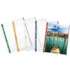 FAVORIT Buste a perforazione universale goffrate FAVORIT A4 banda verde - linear conf. 10 pezzi - 100460031