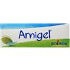 Boiron Arnigel Arnica montana TM 7% Medicinale Omeopatico in Gel, 120g