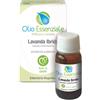 ERBORISTERIA MAGENTINA Srl LAVANDA Olio Essenz.10ml Erb.Magentina