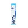 BOIRON Srl Rhus toxicodendron 80 granuli 9 ch contenitore multidose