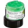 Teaology Matcha Tea Fresh cream