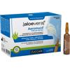 Zuccari Aeromucil 10 Fiale X 5 Ml