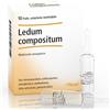 GUNA SpA LEDUM COMP 10F 2,2ML HEEL