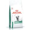 Royal Canin Veterinary Diet Diabetic 400 gr Gatto