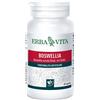 Erba Vita Group Boswellia Serrata 60 Capsule 400 Mg